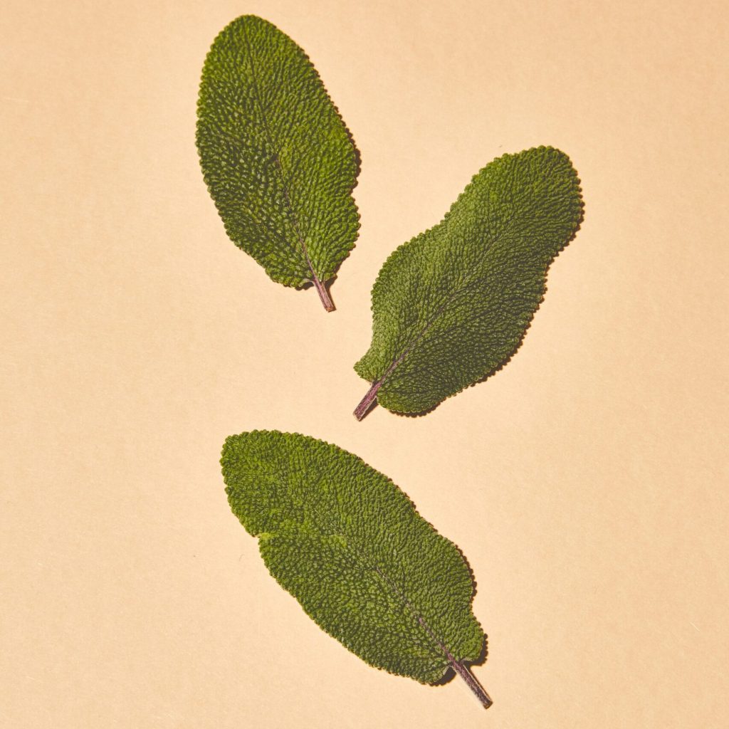 SAGE1930-min-scaled.jpg SAGE1930-min-scaled.jpg